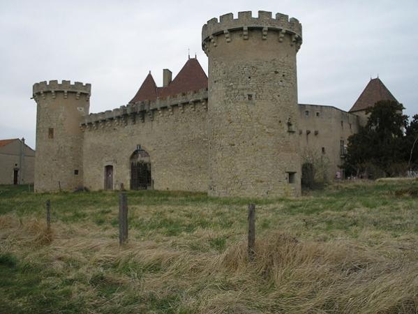 Chateau de la roche de montpensier